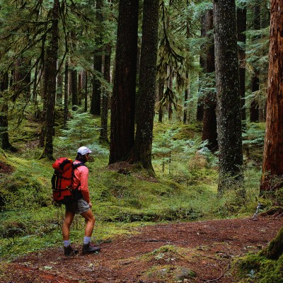 TOP TEN FACTS YOU NEED TO KNOW ABOUT TICKS