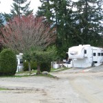 RV Park on Vancouver Island