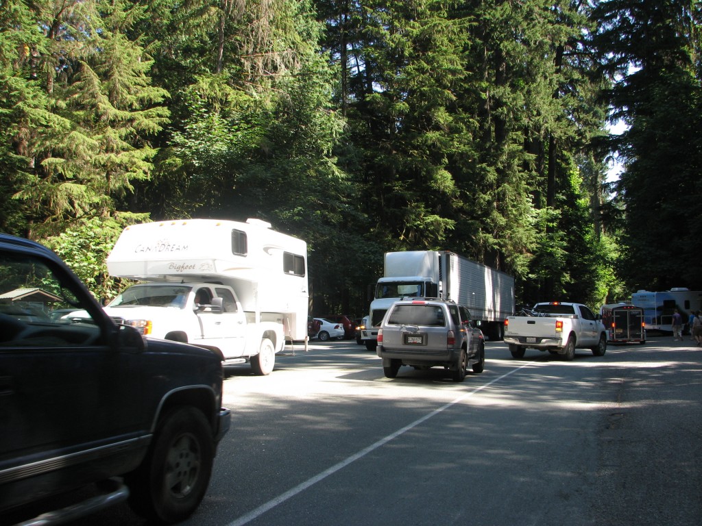 Traffic and parking at Cathedral Grove