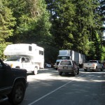 Traffic and parking at Cathedral Grove