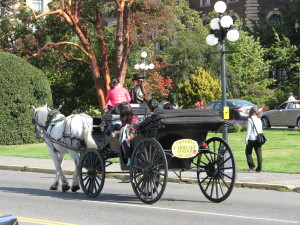 Horsedrawn carriage ride in Victoria, Vancouver Island