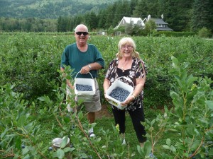 2013-08-28  AUGUST 175. BLUEBERRY PICKING a.a. aa.pg